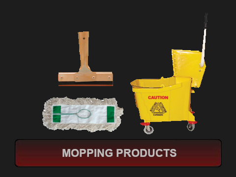 Mopping Products