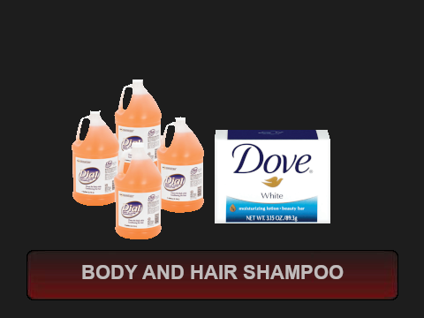 Body and Hair Shampoo