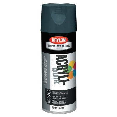 Krylon® Industrial Interior/Exterior Industrial Maintenance Paint, 12 oz Aerosol Can, Shadow Gray, K01604A07